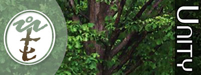 The Kindren Tree Mission is to develop human potential towards an all-inclusive prosperity that leaves no one behind.